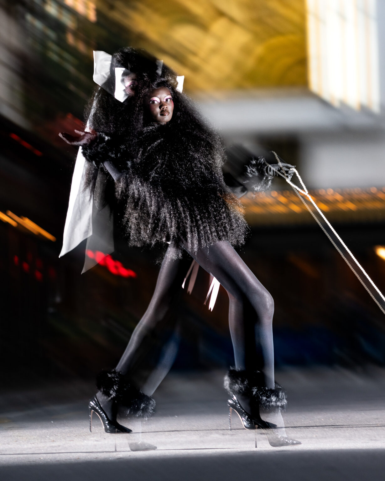 241209_EDITO_CHIEN20245